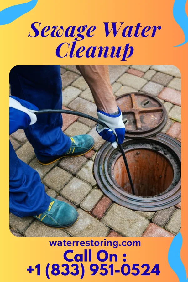 Sewage Water Cleanup in Barry, IL
