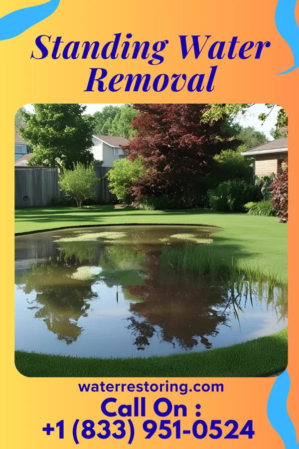 Standing Water Removal in Barry, IL